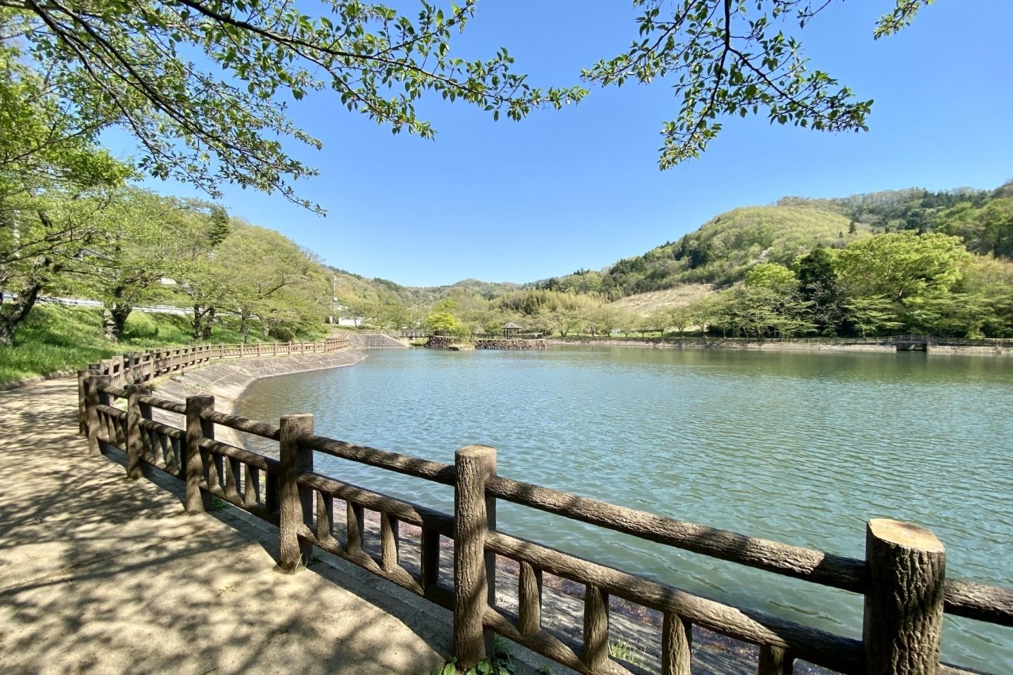 🌳 차야누마 공원 이미지 1